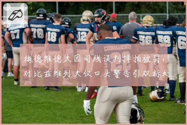 梅德维德夫因司线误判摔拍被罚，对比兹维列夫仅口头警告引双标处罚争议