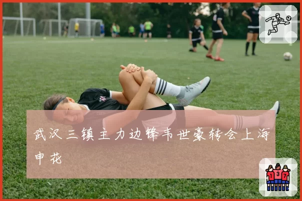 武汉三镇主力边锋韦世豪转会上海申花
