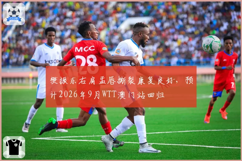 樊振东右肩盂唇撕裂康复良好,预计2026年9月WTT澳门站回归