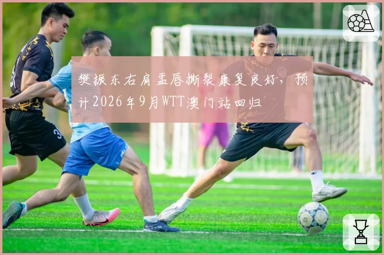 樊振东右肩盂唇撕裂康复良好,预计2026年9月WTT澳门站回归